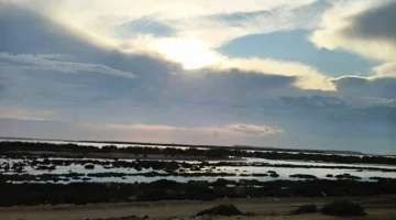 توقعات السبت 14 فبراير استمرار الرياح والأتربة بشمال البلاد